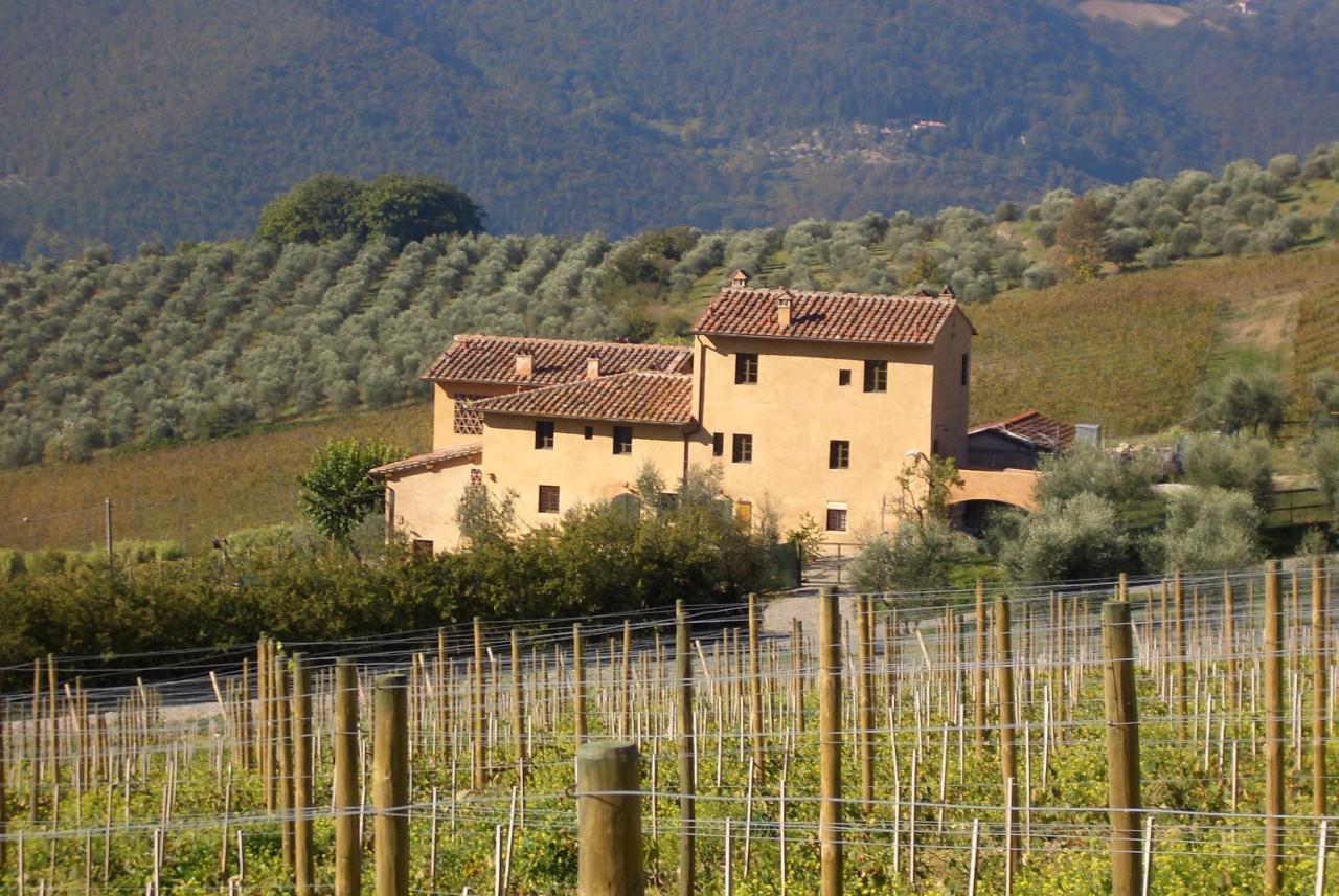 I Veroni - Agriturismo And Wine Cellar بونتاسيفي المظهر الخارجي الصورة