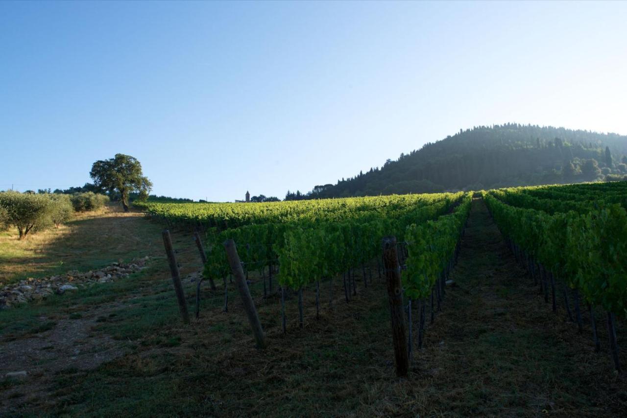 I Veroni - Agriturismo And Wine Cellar بونتاسيفي المظهر الخارجي الصورة
