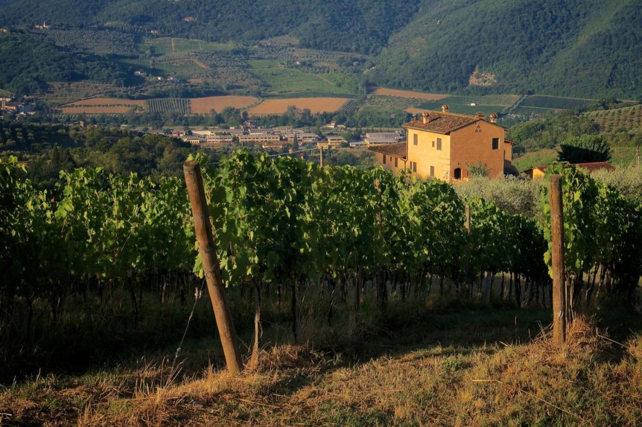 I Veroni - Agriturismo And Wine Cellar بونتاسيفي المظهر الخارجي الصورة